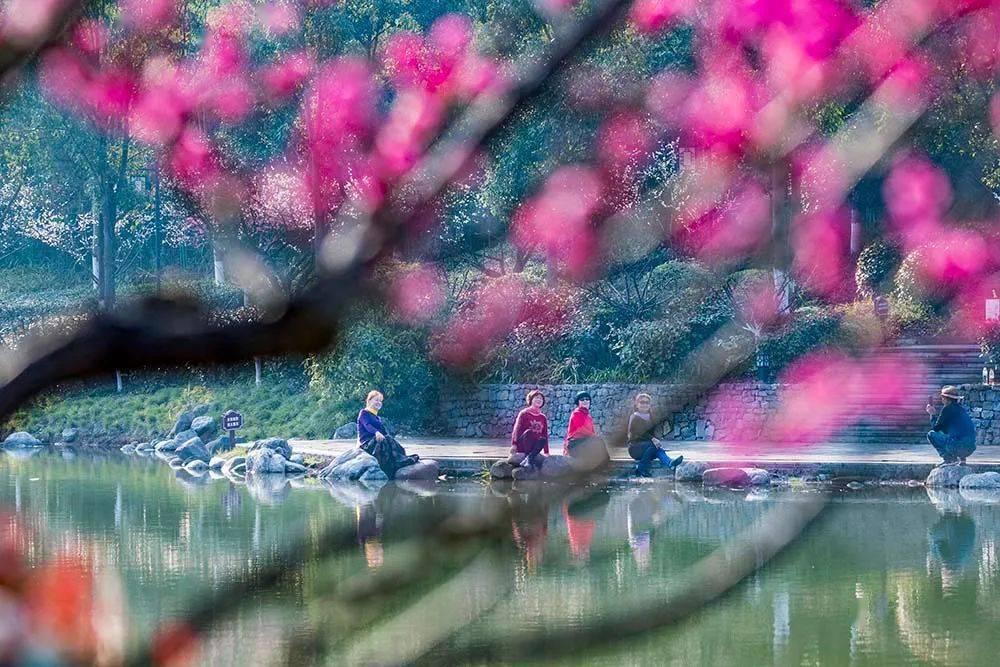 胡塞武装称袭击一艘英国油轮，英国公司确认