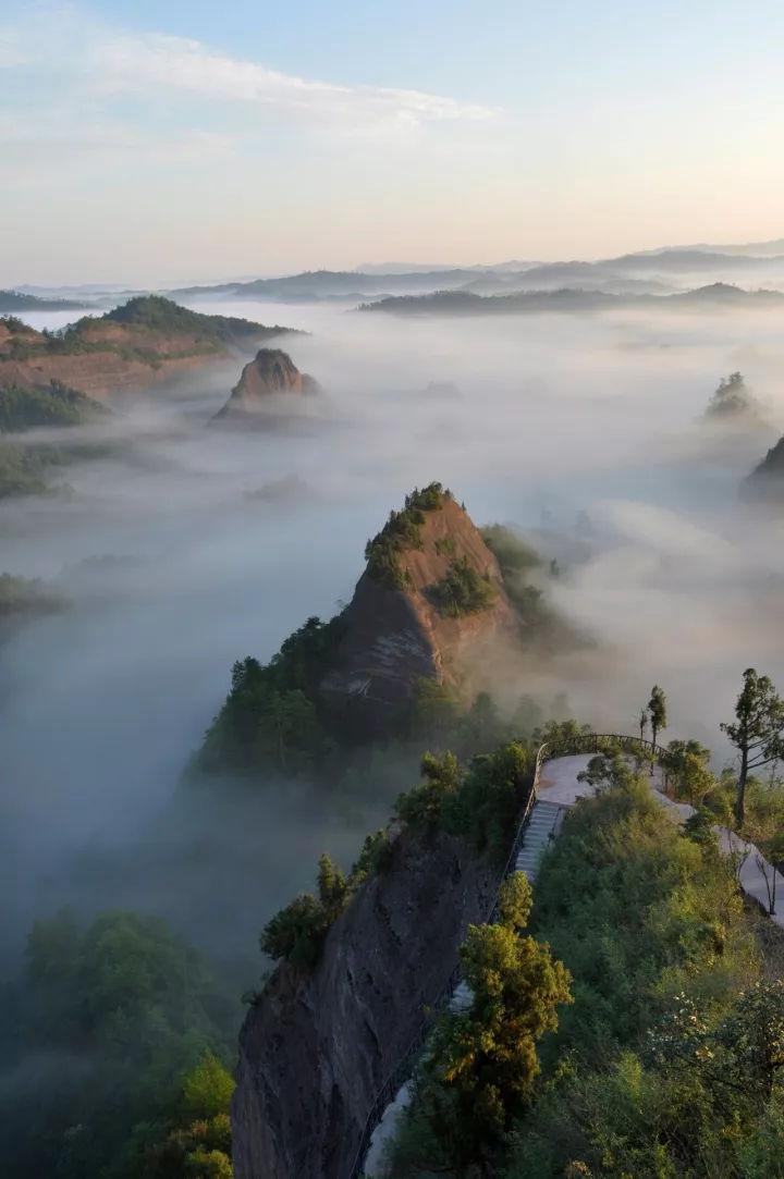 你能逃离此地吗